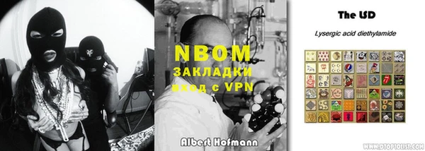 хмурый Алексин