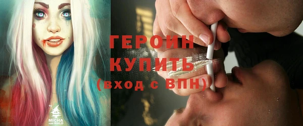 хмурый Алексин