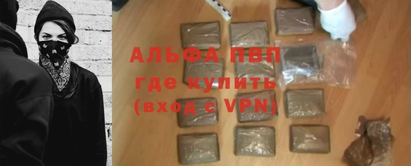 хмурый Алексин
