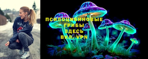 хмурый Алексин